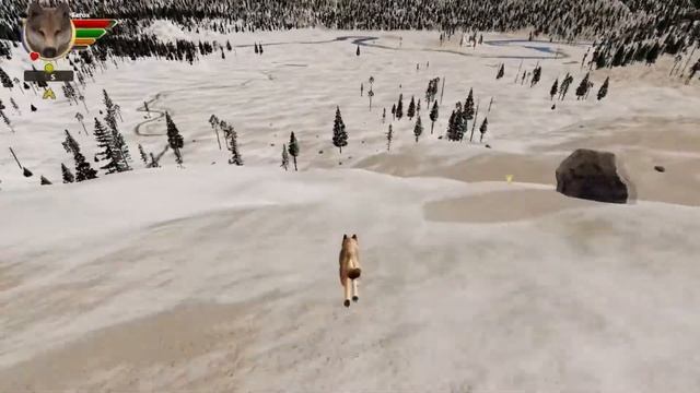 ? WolfQuest 3: Slough Creek Tutorial ? - Establish Your Territory (How to) смотреть онлайн