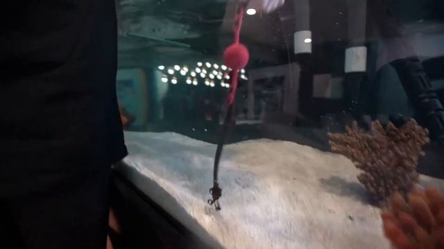 Логан Пол - Наказание для Эвана смотреть онлайн