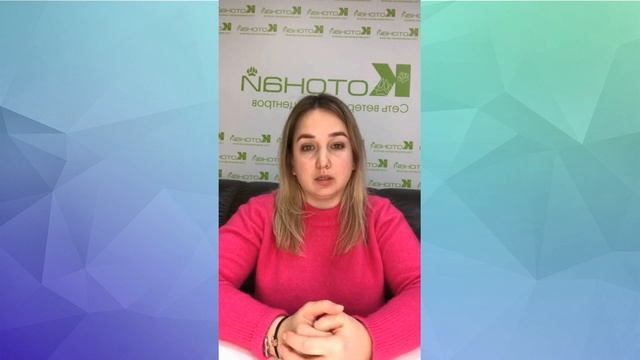 Дистоция морских свинок - ветеринарная клиника Котонай смотреть онлайн