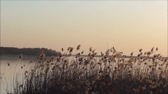 Мой фильм Какая природа и воздух! смотреть онлайн