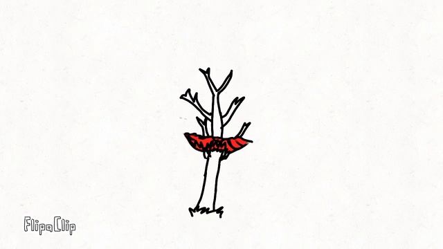 Don’t Starve Birchnut tree Time lapse смотреть онлайн