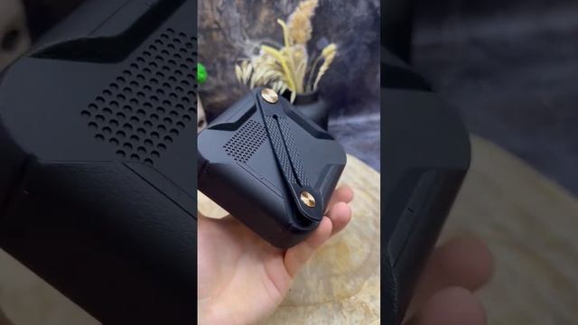 Колонка Marshall Willen смотреть онлайн