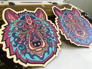 Сравнение УФ и Экосольвента - печать и результат