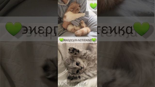 ♡϶ϰερӷμя ӄστεϰӄα♡💚вайб котика.Саблиминал💚⚠️Мощный⚠️ смотреть онлайн