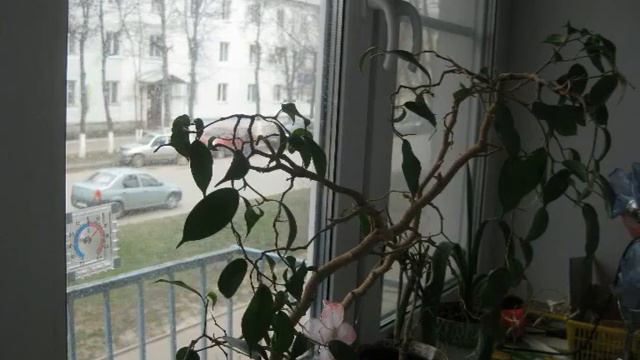 полины осипенко д 2 720x5760 смотреть онлайн