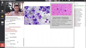 Паразитология. Часть 1: простейшие