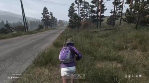 Где гвозди в DayZ???