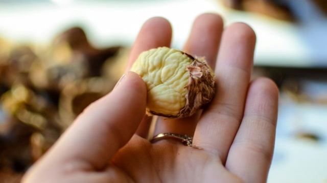 1000 и 1 рецепт