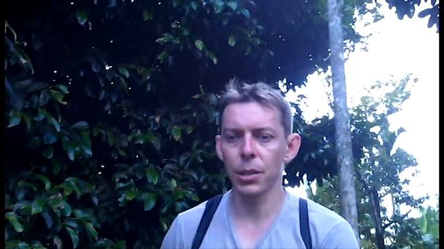 Самуи #5. Покатушки вглубь острова. Горы. Заброшенная избушка. Добыли кокос. смотреть онлайн