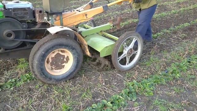 фрезування міжряддя полуниці мотоблоком Кентавр смотреть онлайн