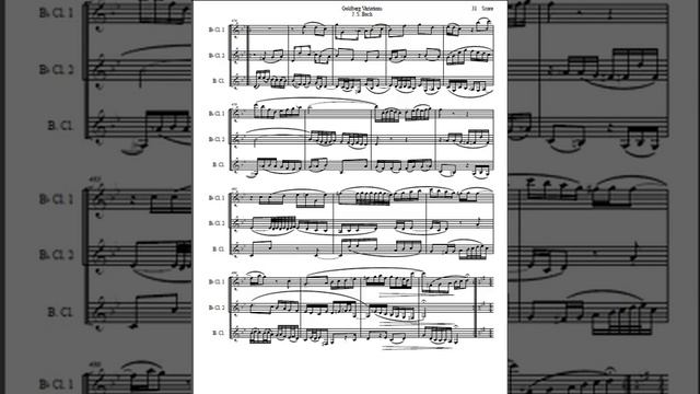 J. S. Bach Goldberg Variations set for clarinet trio смотреть онлайн