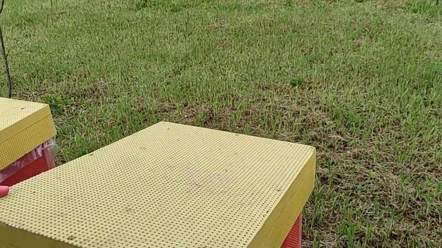 Самая лучшая пасека по нашему мнению, в гости к Руслану смотреть онлайн