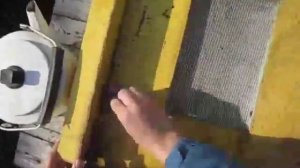 Как почистить улей из пенополистирола