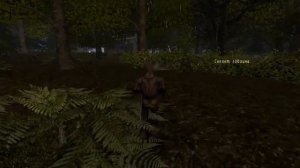 Gothic 2: Ночь Ворона - Эффективное прохождение за мага от Мамы - Эпизод 15