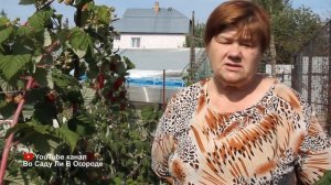 Я В ВОСТОРГЕ ОТ ЭТОЙ МАЛИНЫ! ШИКАРНЫЙ УРОЖАЙ ДО ЗИМЫ!