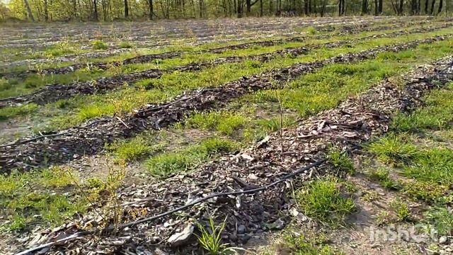 продолжаем работы на даче, закладка нового цветнка смотреть онлайн