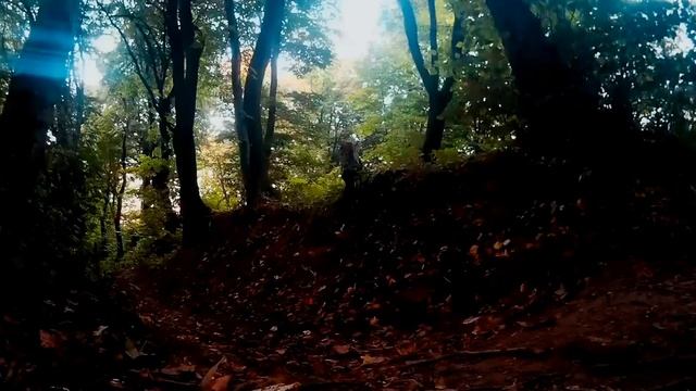 Покатушки на велике в лесу (sj 4000 wi-fi) смотреть онлайн