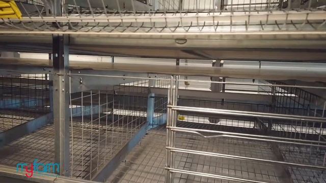 MyFarm Poultry Equipment | Layer Cage смотреть онлайн