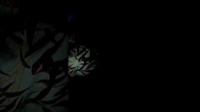 Странно это было вчера ночью на канале Ира шоу. смотреть онлайн