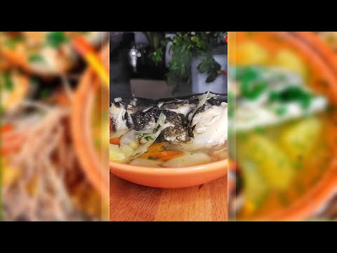 Классическая УХА из головы и хвоста щуки | в домашних условиях.mp4