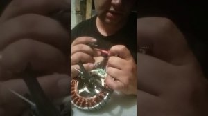 Куго с3 ошибка мотор колеса