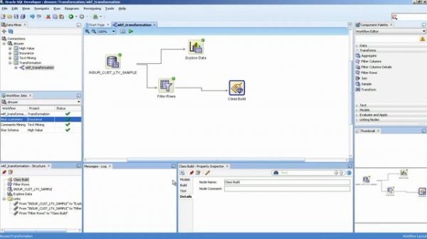 Oracle Data Mining tutorial -  Data Transformation (Lesson 5)