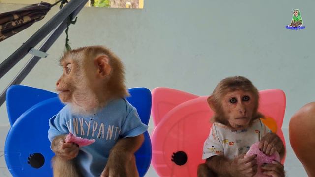 Sam boy & Asher enjoy the weirdest food ever смотреть онлайн