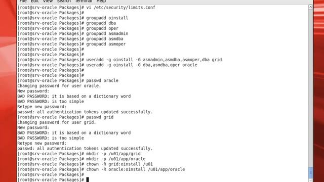 How to Install Oracle GI. Database 11g (11.2.0.1) on OEL 6.5 смотреть онлайн