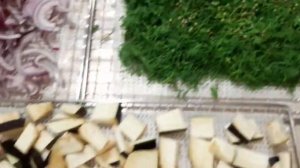 БОЛЬШАЯ СУШКА!!! КАК Я СУШУ И ХРАНЮ ОВОЩИ С ДЕГИДРАТОРОМ  RAWMID  Dream Vitamin