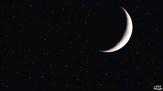 Ночные звуки сверчков для расслабления и сна | Звуки природы | Звуки для сна | Cricket sounds смотреть онлайн