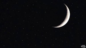 Ночные звуки сверчков для расслабления и сна | Звуки природы | Звуки для сна | Cricket sounds