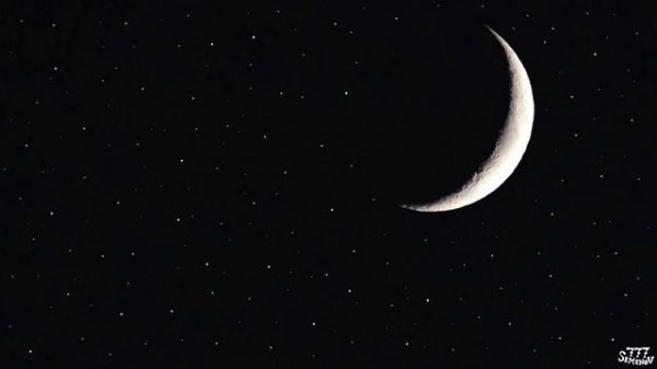 Ночные звуки сверчков для расслабления и сна | Звуки природы | Звуки для сна | Cricket sounds