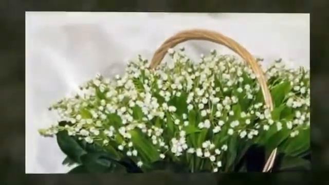 Юлия Михальчик НЕЗАБУДКА mpg смотреть онлайн