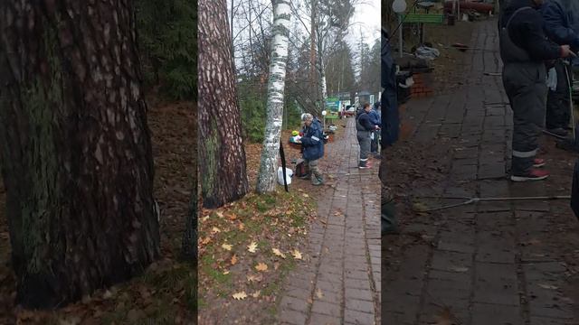 Малина-шартрез делает рыбалку смотреть онлайн
