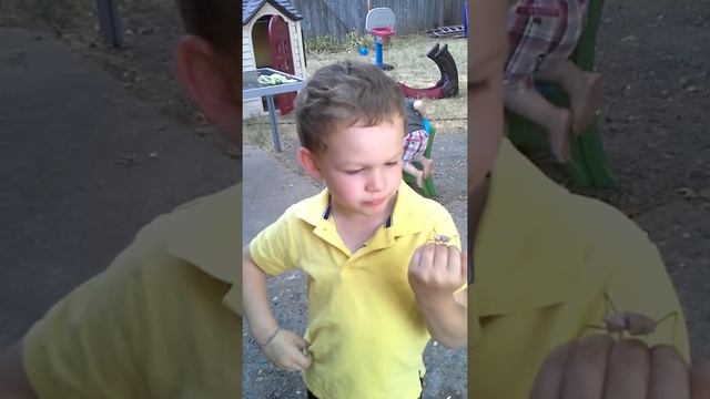 Praying Mantis jumps on kids face смотреть онлайн