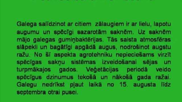 Galega смотреть онлайн