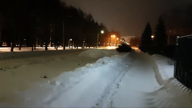24.01.2024 − ИИ Робот и Человек − Надеждин − Силовые Тренировки смотреть онлайн