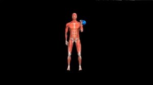 Армейский жим гири одной рукой вверх Kettlebell One Arm Military Press