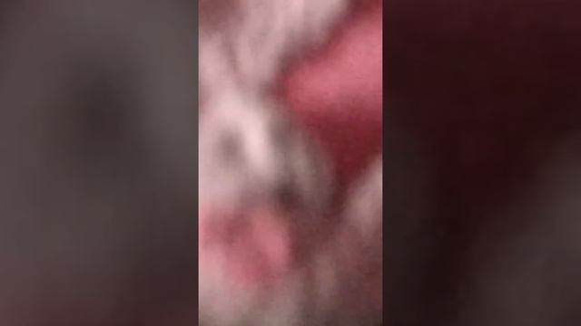 Кто лайкнул видео с меня лайк смотреть онлайн