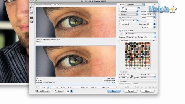Photoshop Tutorial - Save to Web & Devices смотреть онлайн