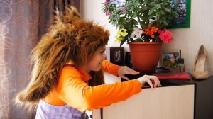 Дружок и Роза в борьбе за срочный ремонт