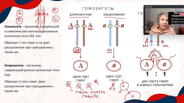 Генетика. Часть 1. ЕГЭ биология. ОГЭ биология смотреть онлайн