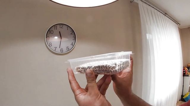 МЁД в сотах или сотовый мед. Хотите попробовать сотовый мед обращайтесь, сделаем.