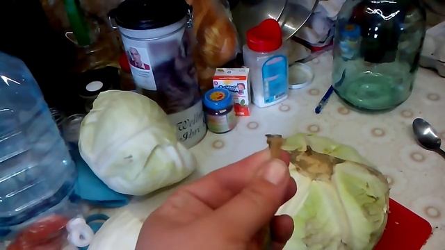 Капуста и куры. Часть 1 смотреть онлайн