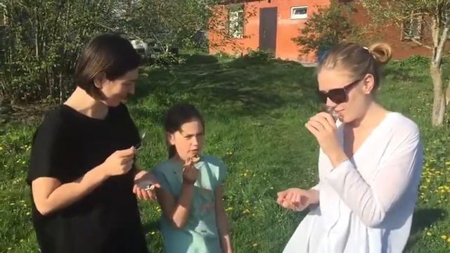 Вкусная паста из льна от Доброй Белки смотреть онлайн