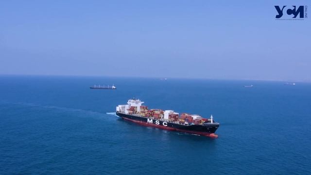 Как растаможить автомобиль смотреть онлайн