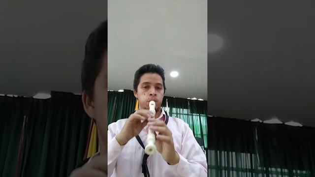 Mozart alla turca flauta dulce смотреть онлайн