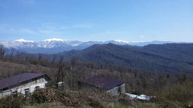 приезжие мощеники и посредники уговаривают местных Сочи продавать дешёво дачные участки для смотреть онлайн