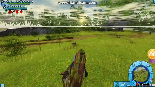 Баги в Star Stable смотреть онлайн