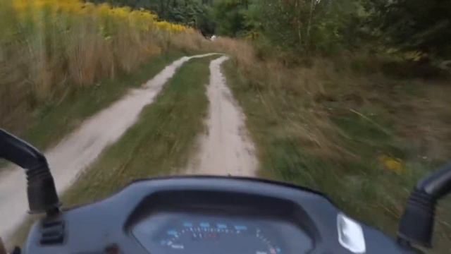 ПОКАТУШКИ НА HONDA LEAD 90 смотреть онлайн